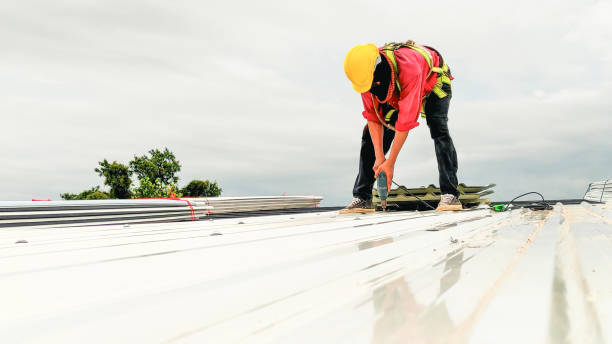 Best Roof Moss and Algae Removal  in Four Square Mile, CO